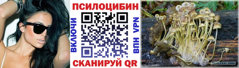 Купить закладки  Балей  Псилоцибиновые грибы GOLDEN TEACHER 