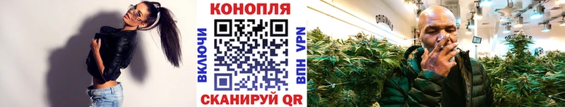 Бошки марихуана тримм  Купить где  Балей 
